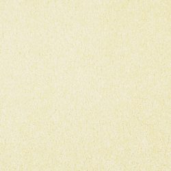 Masland  Miami Carpet 9496 317
