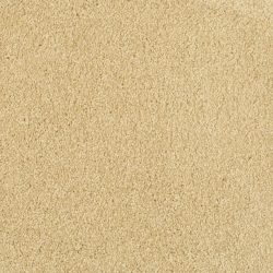 Masland  Miami Carpet 9496 322