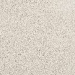 Masland  Miami Carpet 9496 515
