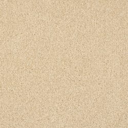 Masland  Miami Carpet 9496 516
