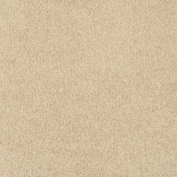 Masland  Miami Carpet 9496 519