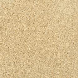 Masland  Miami Carpet 9496 527