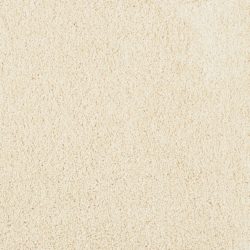 Masland  Miami Carpet 9496 532