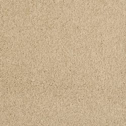 Masland  Miami Carpet 9496 551