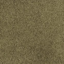 Masland  Miami Carpet 9496 729