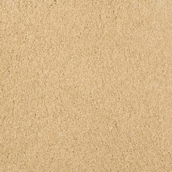 Masland  Miami Carpet 9496 947