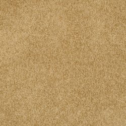 Masland  Miami Carpet 9496 948
