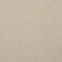 Masland  Embrace Carpet 9501 020