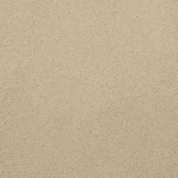 Masland  Embrace Carpet 9501 101