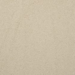Masland  Embrace Carpet 9501 102