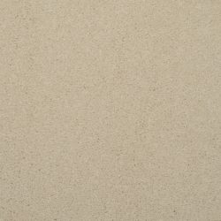 Masland  Embrace Carpet 9501 106