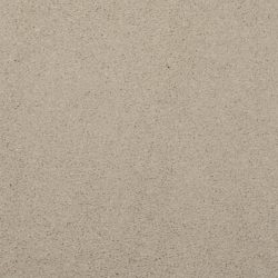Masland  Embrace Carpet 9501 122