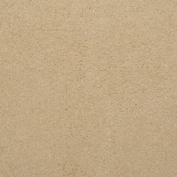 Masland  Embrace Carpet 9501 204