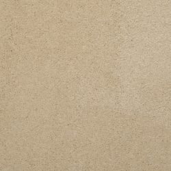 Masland  Embrace Carpet 9501 208