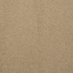 Masland  Embrace Carpet 9501 209