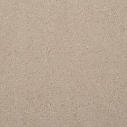 Masland  Embrace Carpet 9501 219