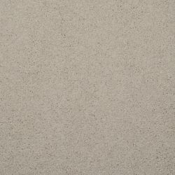 Masland  Embrace Carpet 9501 221