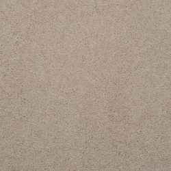 Masland  Embrace Carpet 9501 223