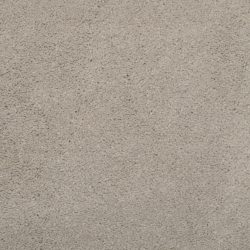 Masland  Embrace Carpet 9501 224