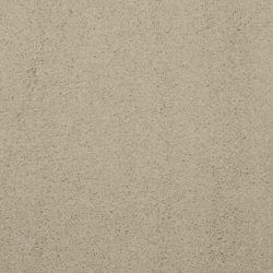 Masland  Embrace Carpet 9501 238