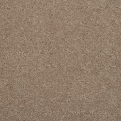 Masland  Embrace Carpet 9501 325