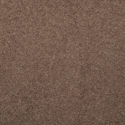 Masland  Embrace Carpet 9501 326
