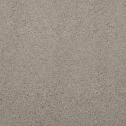 Masland  Embrace Carpet 9501 327