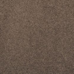 Masland  Embrace Carpet 9501 329