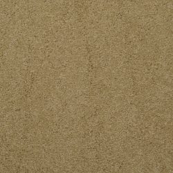 Masland  Embrace Carpet 9501 341