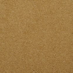 Masland  Embrace Carpet 9501 410