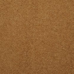 Masland  Embrace Carpet 9501 413