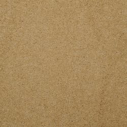 Masland  Embrace Carpet 9501 414