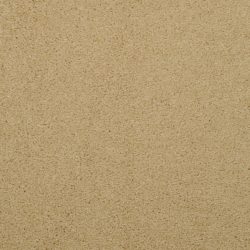 Masland  Embrace Carpet 9501 449