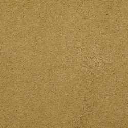 Masland  Embrace Carpet 9501 452