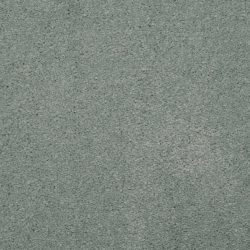 Masland  Embrace Carpet 9501 539