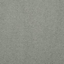Masland  Embrace Carpet 9501 542