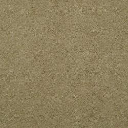 Masland  Embrace Carpet 9501 547