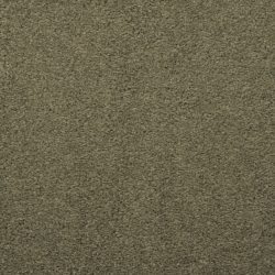 Masland  Embrace Carpet 9501 551