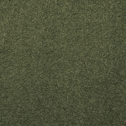 Masland  Embrace Carpet 9501 554