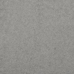 Masland  Embrace Carpet 9501 561