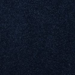 Masland  Embrace Carpet 9501 662