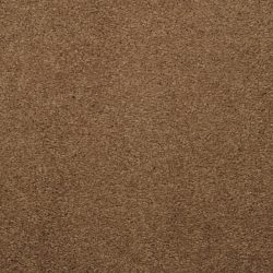 Masland  Embrace Carpet 9501 715
