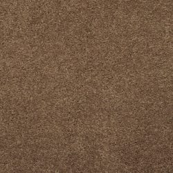 Masland  Embrace Carpet 9501 728