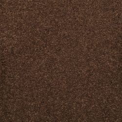 Masland  Embrace Carpet 9501 734