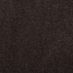 Masland  Embrace Carpet 9501 735