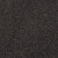 Masland  Embrace Carpet 9501 833
