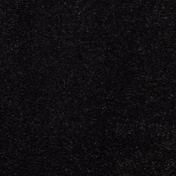 Masland  Embrace Carpet 9501 836