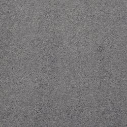 Masland  Embrace Carpet 9501 867