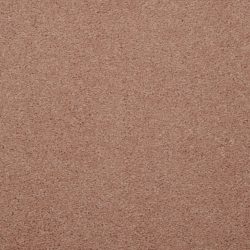 Masland  Embrace Carpet 9501 963