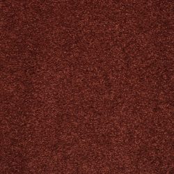 Masland  Embrace Carpet 9501 966